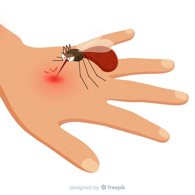 Vector gratuito mosquito picando en una mano dibujado a mano