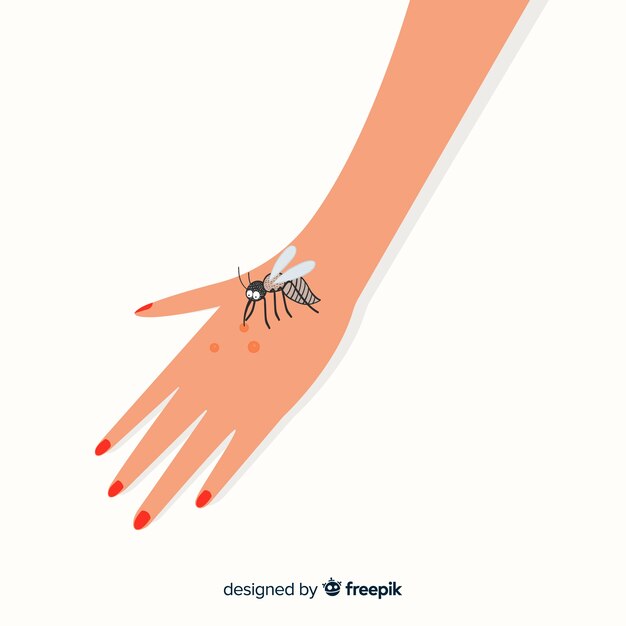 Mosquito picando en una mano dibujado a mano