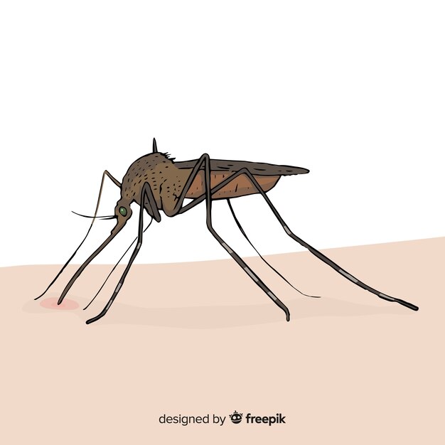 Mosquito picando a una persona con diseño plano