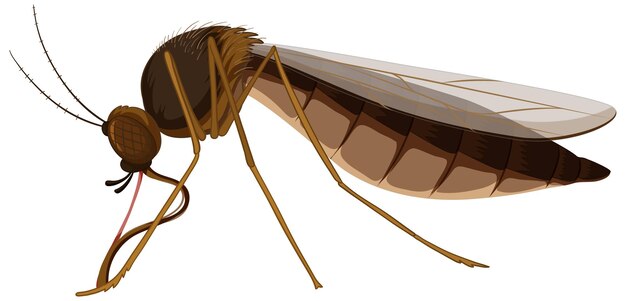El mosquito que causa la malaria Una ilustración de dibujos animados marrones