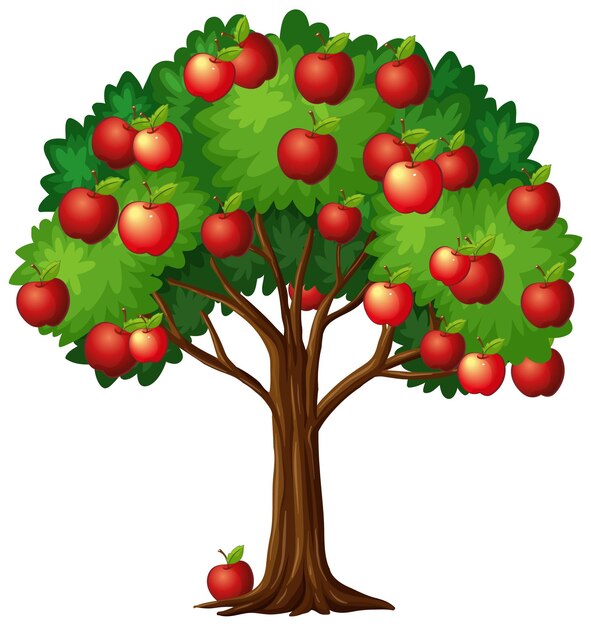 Muchas manzanas rojas en un árbol aislado sobre fondo blanco.