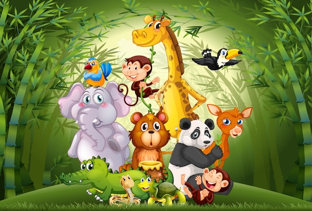 Muchos animales en el bosque de bambú