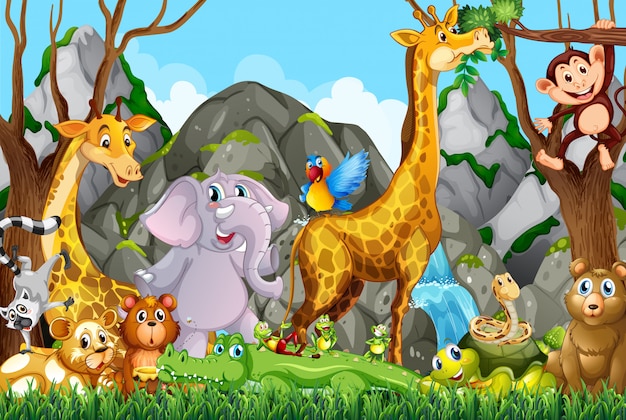 Muchos animales lindos en el bosque