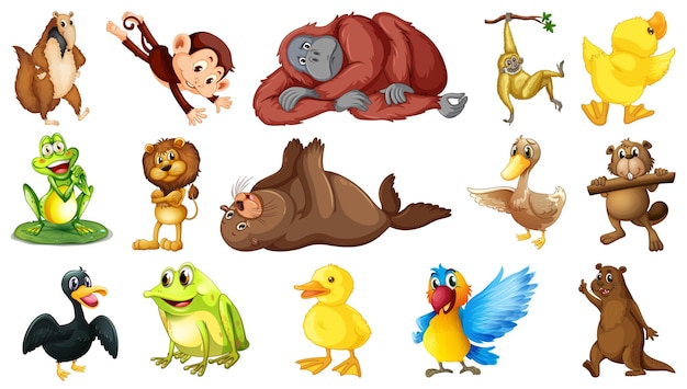 Muchos animales salvajes sobre fondo blanco.