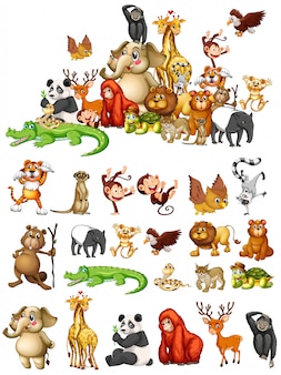 Muchos animales