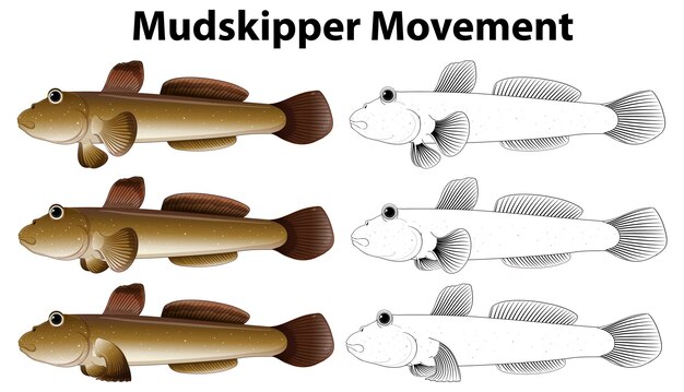 Mudskipper Movimiento Vector Concepto