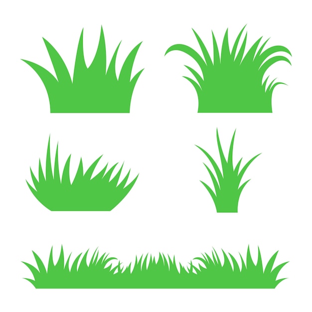 Múltiples hierba verde diferente sobre fondo blanco.