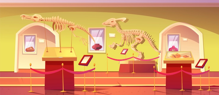 Vector gratuito museo de historia con esqueletos de dinosaurios, insectos antiguos en ámbar, olla de barro y fósiles de dinosaurios. artefactos en exposición histórica. paleontología o ciencia arqueológica, ilustración de dibujos animados