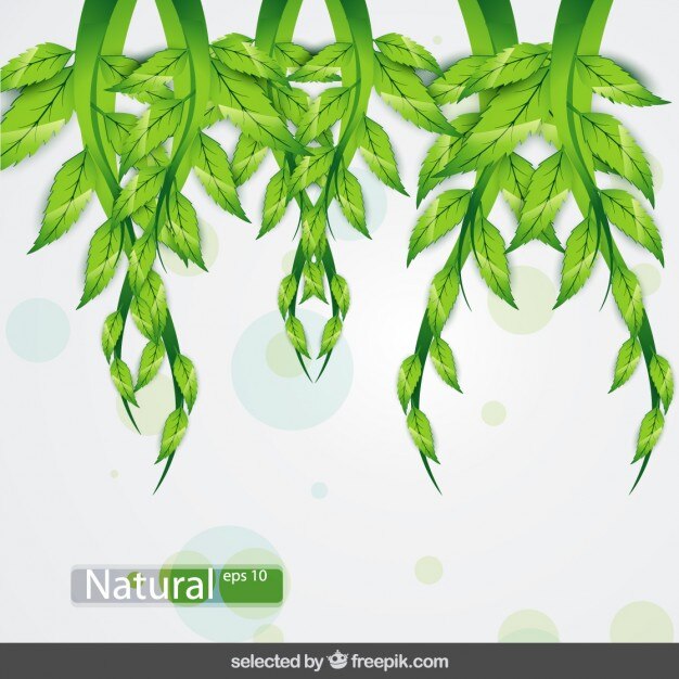 La naturaleza de fondo con banches