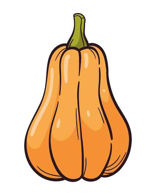 naturaleza de otoño calabaza fresca ilustración aislada