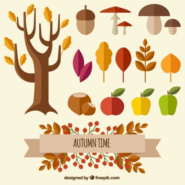 Naturaleza Tiempo de otoño
