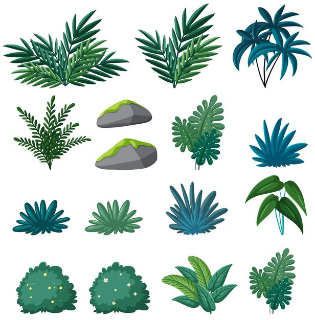 Naturaleza39s Elementos Conjunto de plantas Hojas de musgo y piedra