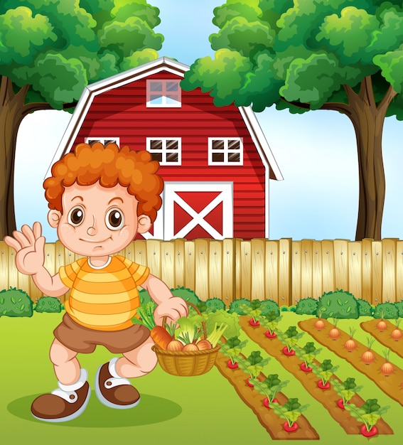 Un niño cosecha vegetal