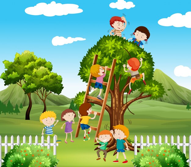Niños trepando árboles en el parque