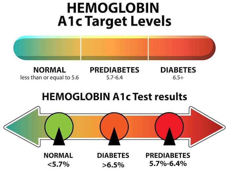 Vector gratuito niveles de hemoglobina a1c y riesgo de diabetes