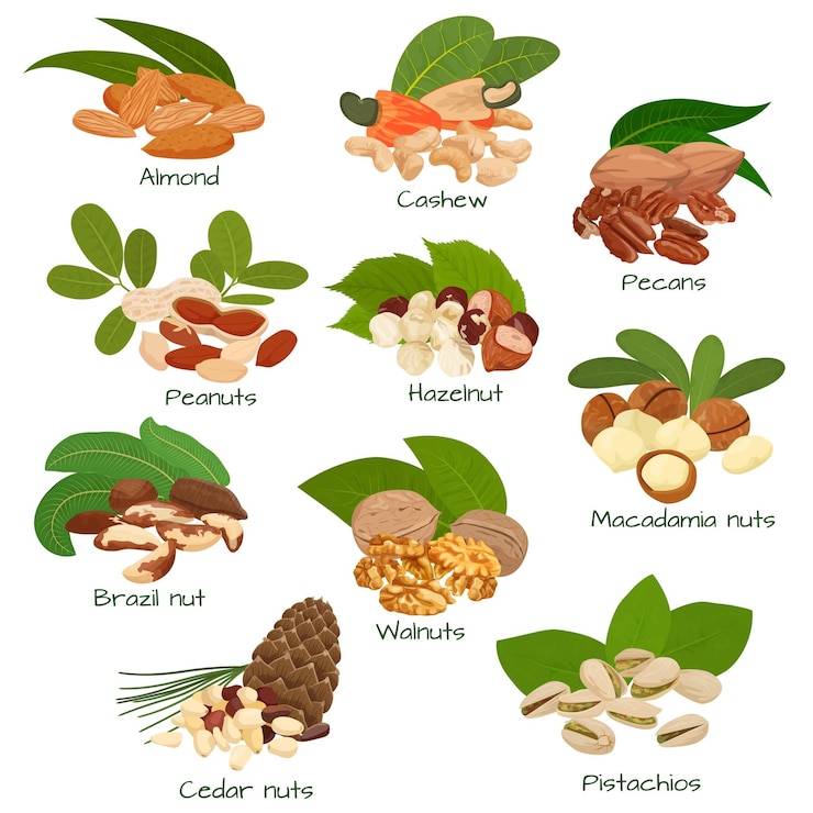 Vector gratuito nueces y semillas planas con racimos aislados de anacardos nueces avellanas cacahuetes nueces y pistachos ilustración vectorial