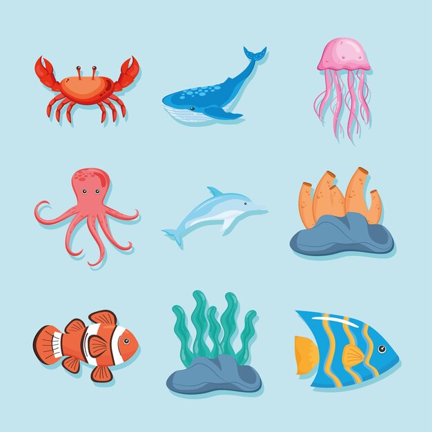Nueve iconos de vida marina