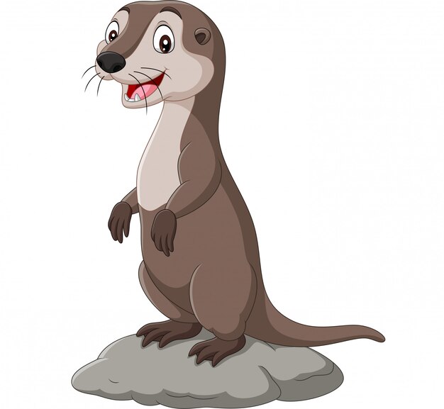 Imagenes De Mar Nutria Vectores Fotos De Stock Y Psd Gratuitos