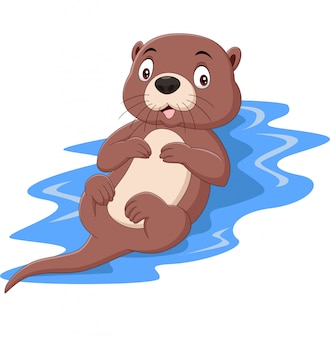 Imagenes De Mar Nutria Vectores Fotos De Stock Y Psd Gratuitos Imagenes De Mar Nutria Vectores Fotos De Stock Y Psd Gratuitos