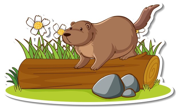 Nutria linda de pie sobre una pegatina de registro