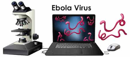 Vector gratuito objeto del virus ébola