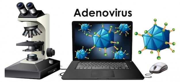 objetos de virus llamados adenovirus