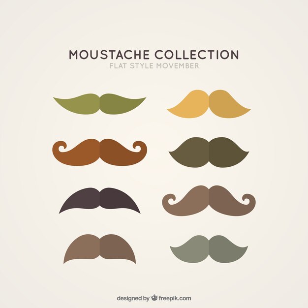 Ocho bigotes