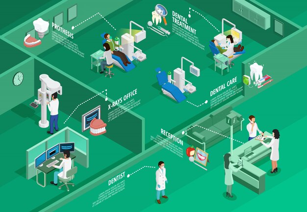 Odontología infografía isométrica