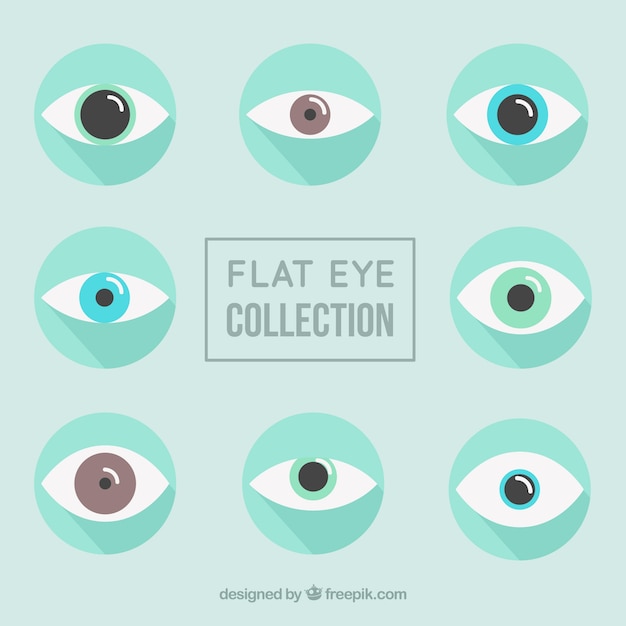 Ojos planos con diferentes colores
