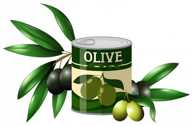 Oliva fresca y aceituna en lata.