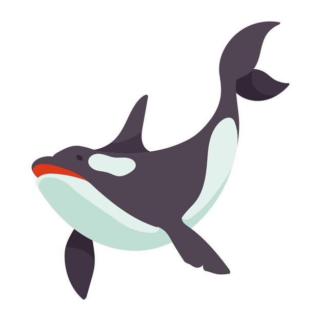 orca animal ártico criatura personaje