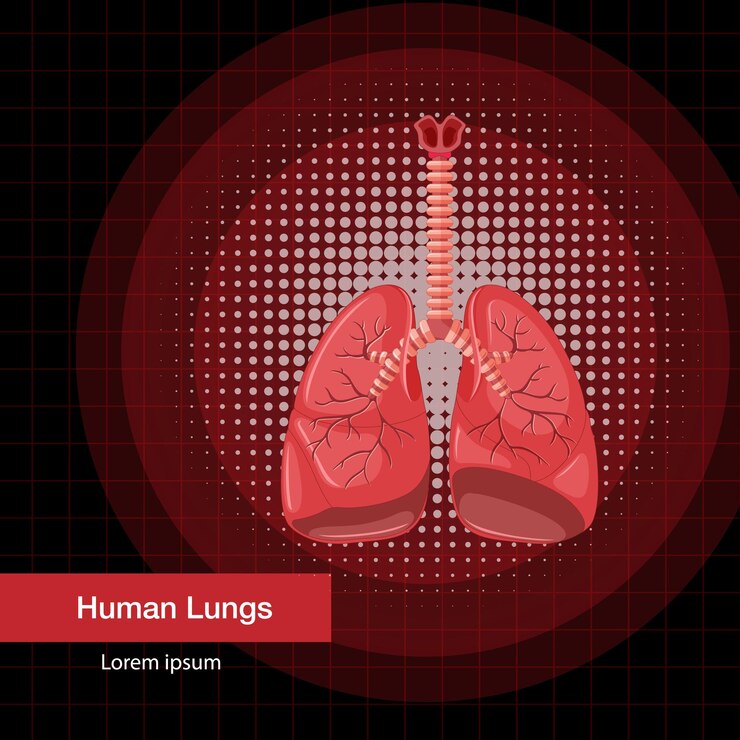 Vector gratuito órgano interno humano con pulmones
