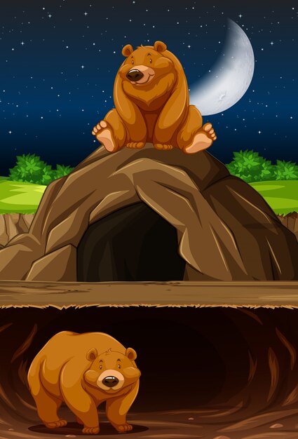 Oso en la cueva