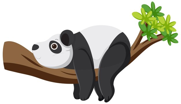 Vector gratuito oso panda, acostado, en, árbol