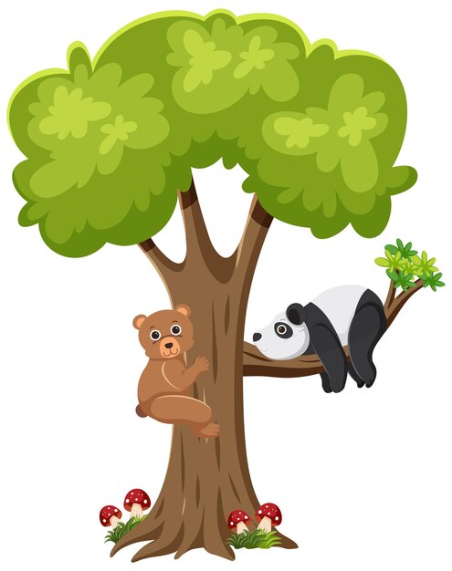 Oso y panda en un árbol