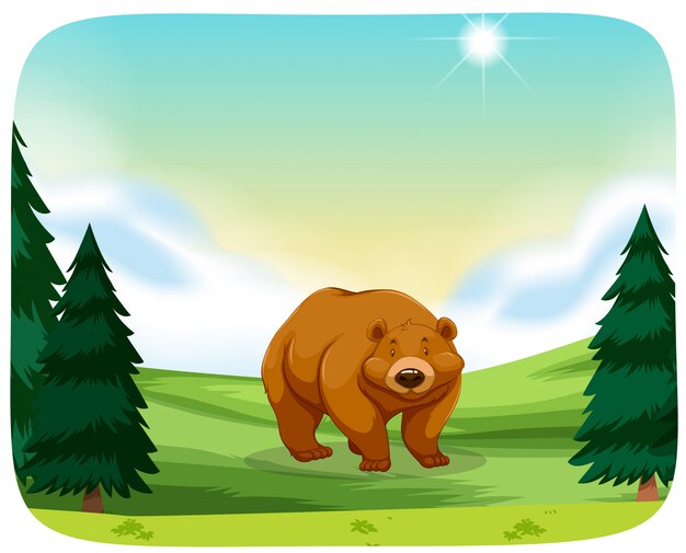 Oso pardo en la escena de la naturaleza