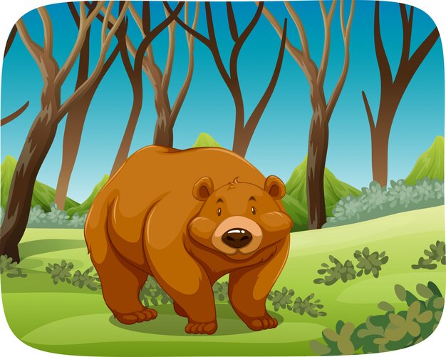 Oso pardo en la escena de la naturaleza