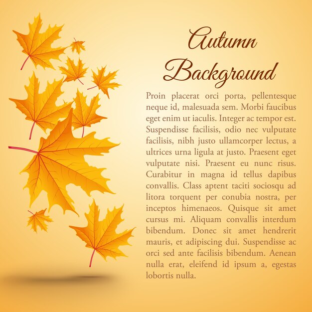 Otoño de fondo natural