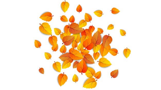 Otoño hojas caídas aisladas sobre fondo blanco. Caída de hojas amarillas redondas otoñales, follaje de árbol y hojas doradas. Frontera de hoja de oro de otoño de septiembre. Ilustración vectorial eps10