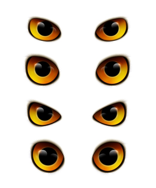 Owl Eyes Realistic Collection