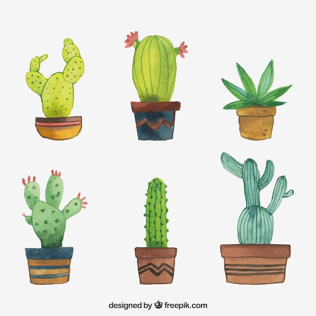 Vector gratuito pack adorable de cactus en acuarela