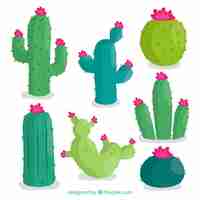 Vector gratuito pack adorable de cactus con estilo colorido