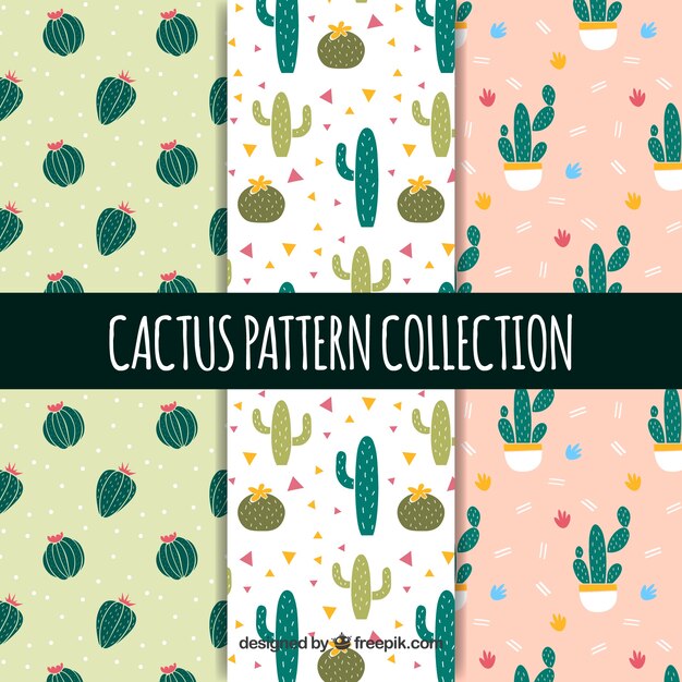 Pack adorable de patrones de cactus