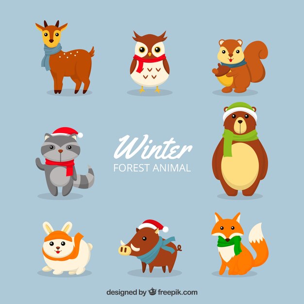 Pack de animales dibujados a mano 