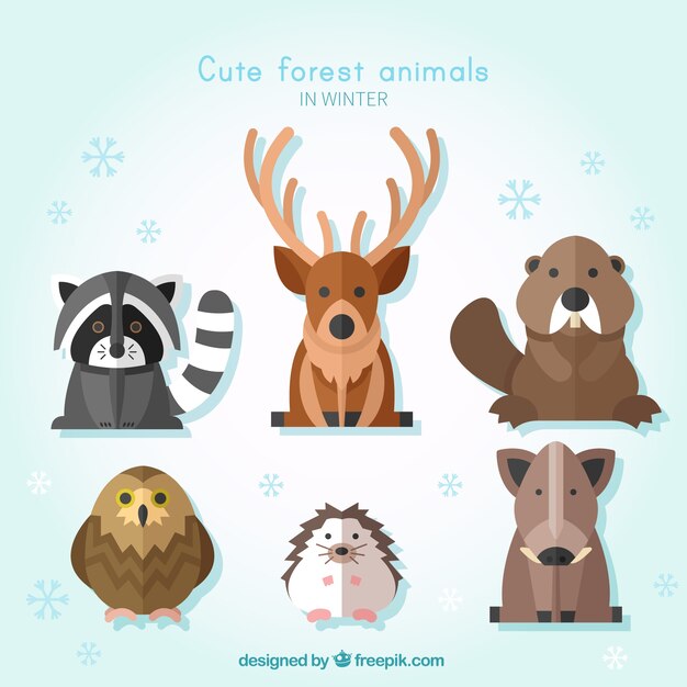 Pack de animales salvajes en diseño plano 