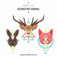 Vector gratuito pack de animales salvajes geométricos