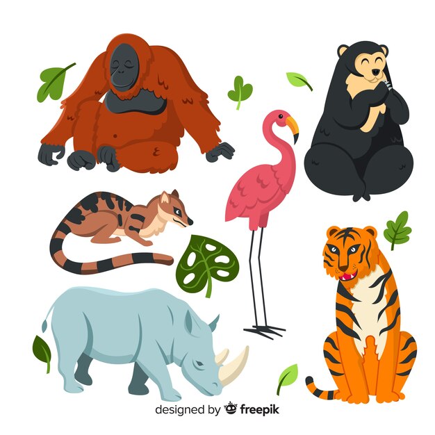 Pack de animales tropicales planos