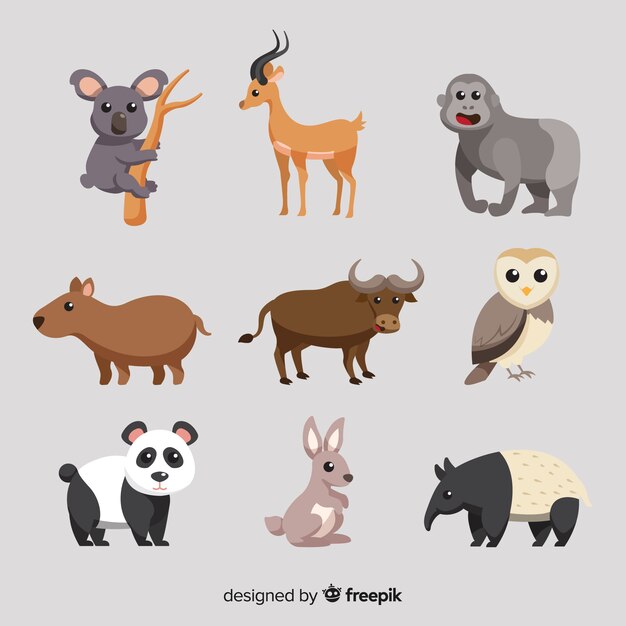 Pack de animales tropicales planos