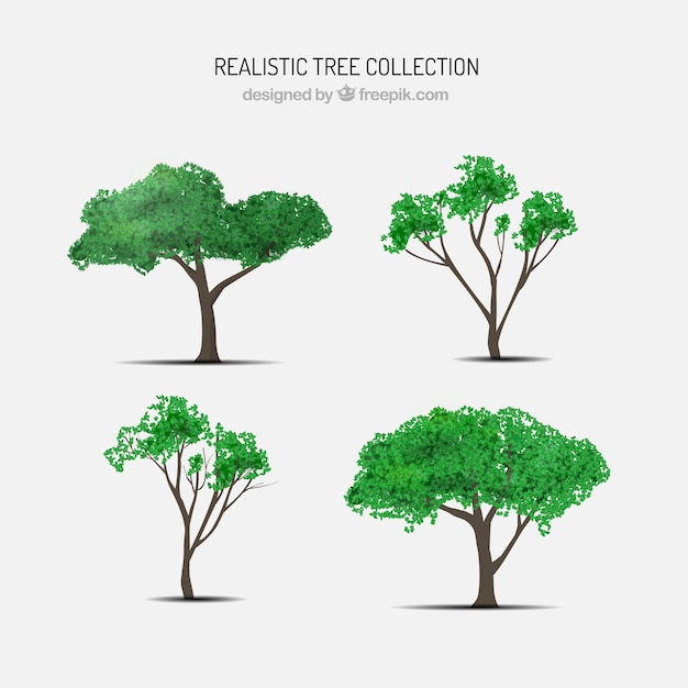 Pack de árboles realistas 