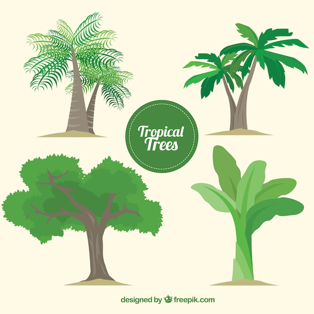 Vector gratuito pack de árboles tropicales